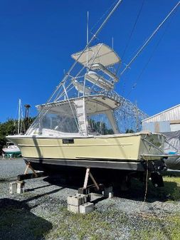 Blue Fin Custom Sportfish image