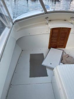 Blue Fin Custom Sportfish image