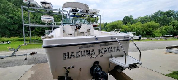 Bayliner 2052 Trophy Walkaround image
