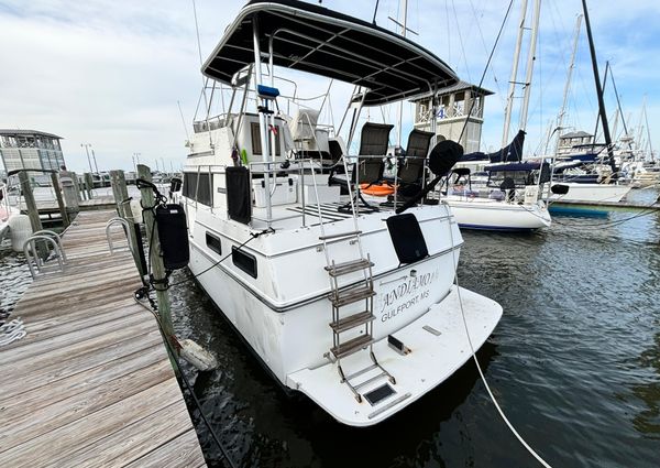 Carver 3607 Aft Cabin image