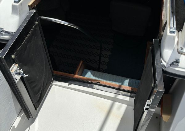 Carver 3607 Aft Cabin image