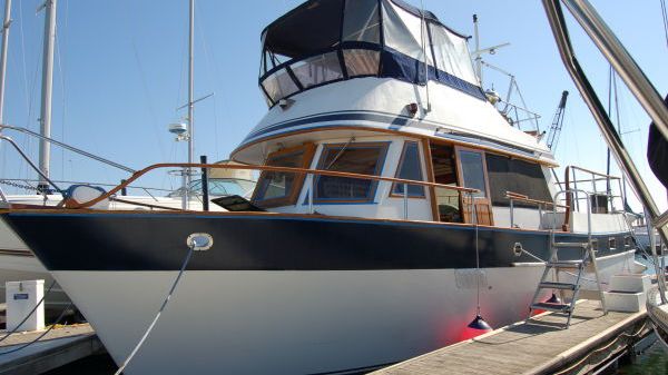 Sea Ranger SUNDECK 