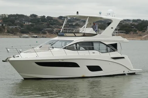 Sea Ray Fly 460 image