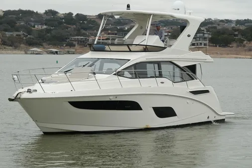 Sea Ray Fly 460 image