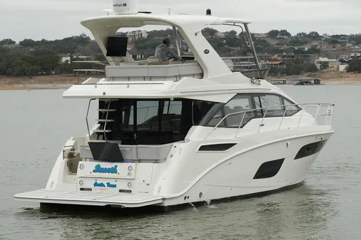 Sea Ray Fly 460 image