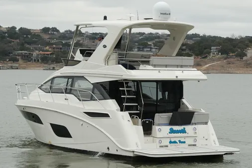 Sea Ray Fly 460 image