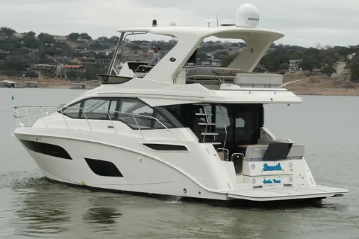 Sea Ray Fly 460 image