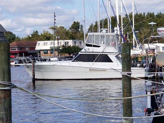 Viking 45 - main image