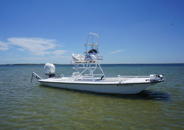 Haynie 23 super cat image