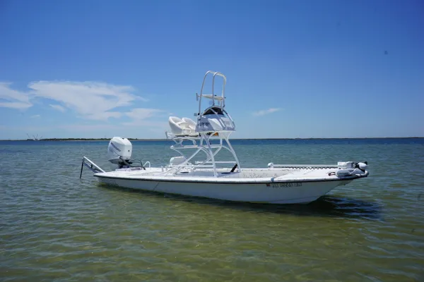 Haynie 23 super cat image