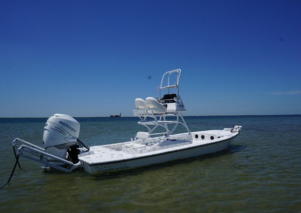 Haynie 23 super cat image