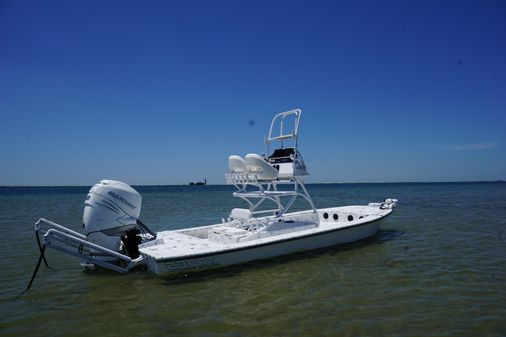 Haynie 23 super cat image