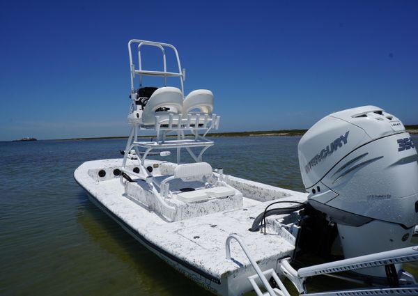 Haynie 23 super cat image