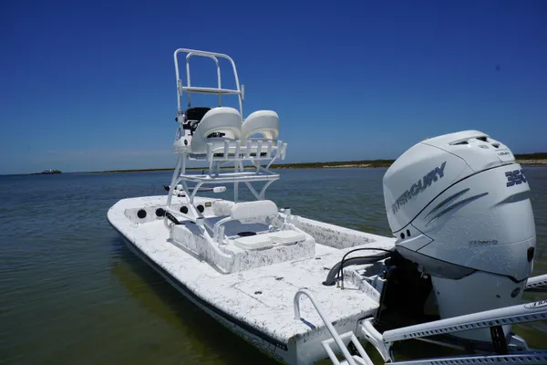 Haynie 23 super cat image