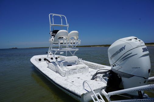 Haynie 23 super cat image