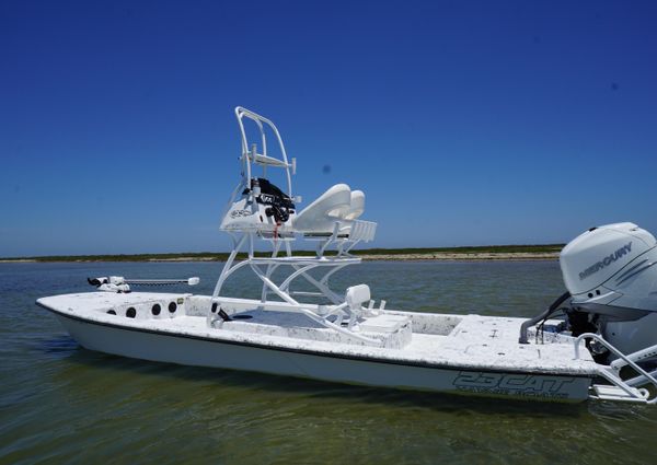 Haynie 23 super cat image