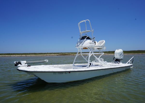 Haynie 23 super cat image