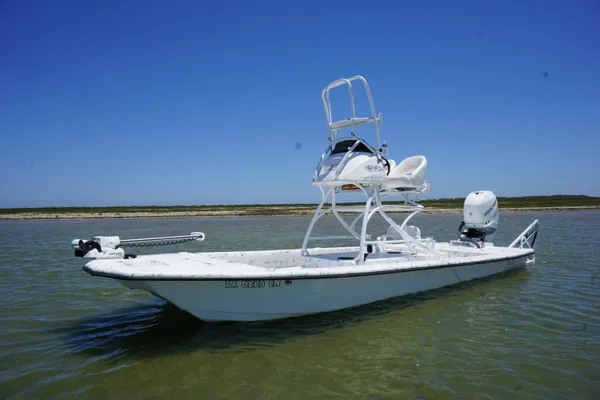 Haynie 23 super cat image