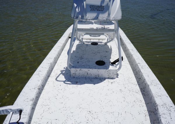 Haynie 23 super cat image