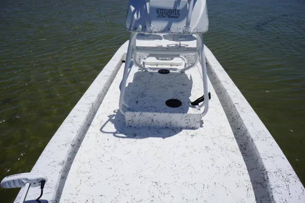 Haynie 23 super cat image