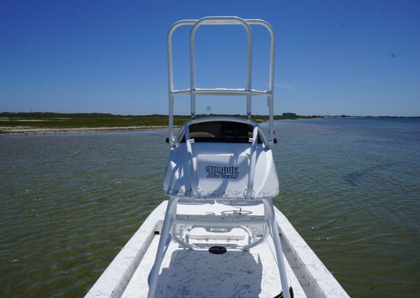 Haynie 23 super cat image