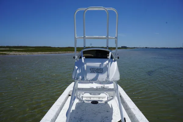 Haynie 23 super cat image