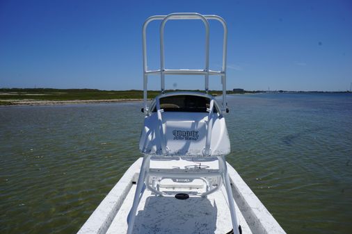 Haynie 23 super cat image