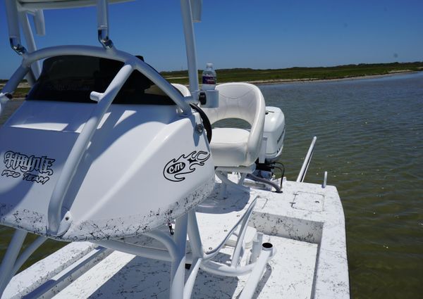 Haynie 23 super cat image