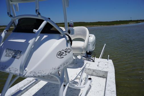 Haynie 23 super cat image