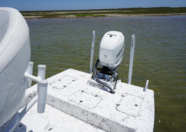 Haynie 23 super cat image