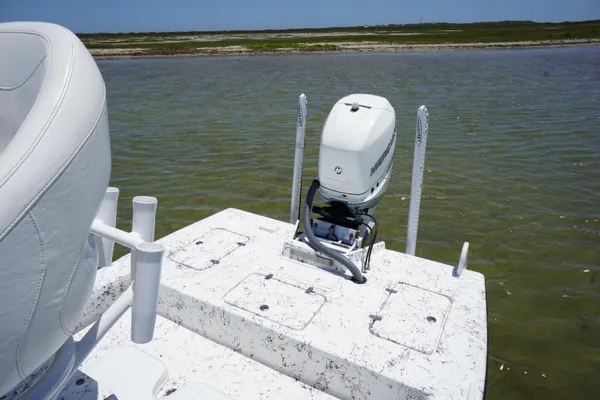 Haynie 23 super cat image