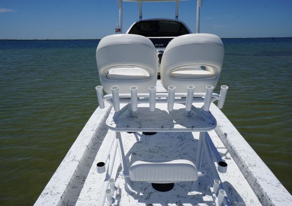 Haynie 23 super cat image