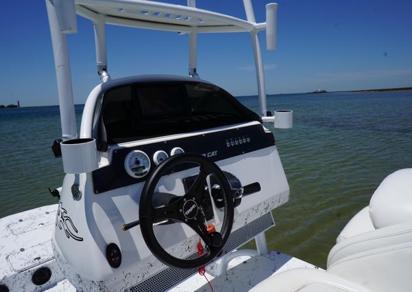 Haynie 23 super cat image