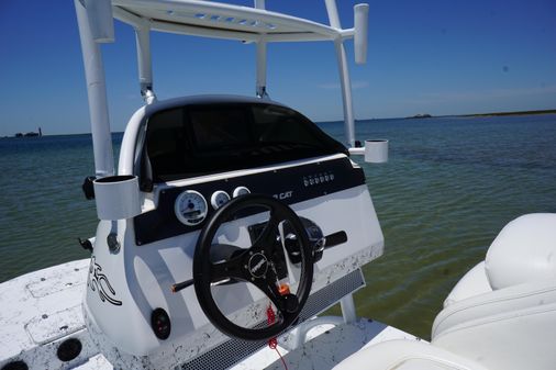 Haynie 23 super cat image