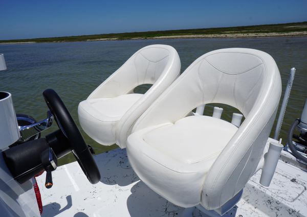 Haynie 23 super cat image