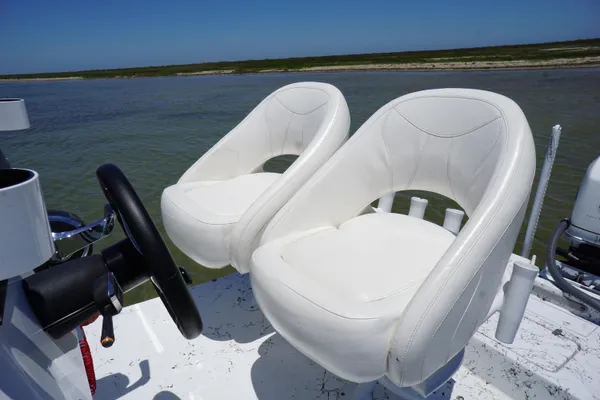 Haynie 23 super cat image