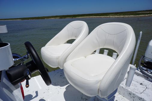 Haynie 23 super cat image