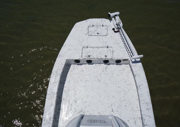 Haynie 23 super cat image