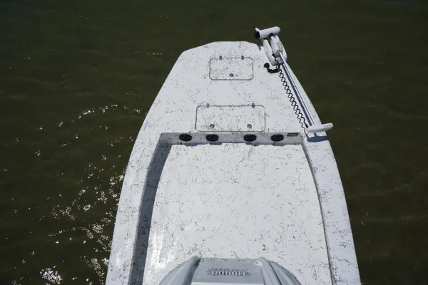 Haynie 23 super cat image