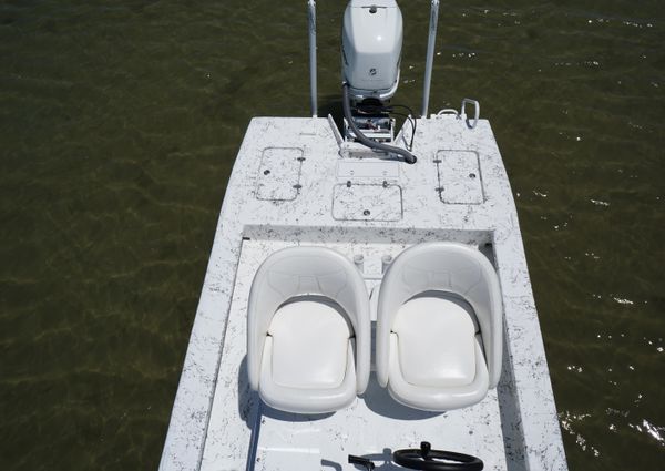 Haynie 23 super cat image