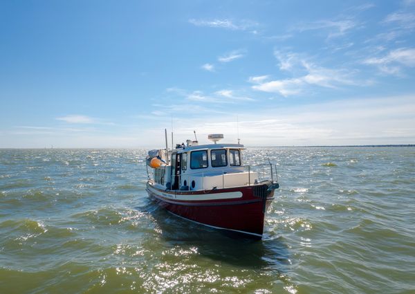 Nordic Tug 32 image