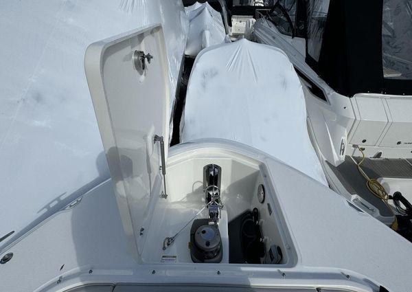 Sea Ray 370 Sundancer Outboard image