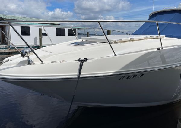 Sea Ray 350 Sundancer image