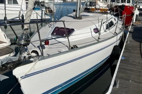 Catalina 355 image