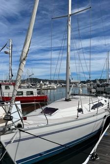 Catalina 355 image