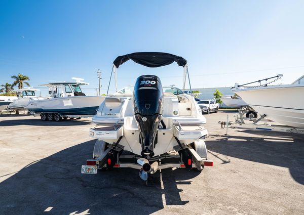 Sea-ray 240-SUNDECK-OUTBOARD image