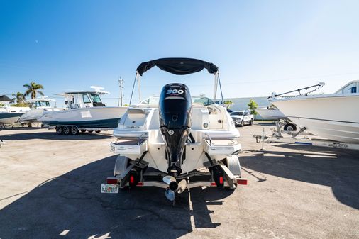 Sea-ray 240-SUNDECK-OUTBOARD image