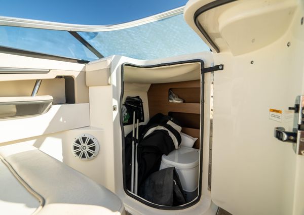 Sea-ray 240-SUNDECK-OUTBOARD image