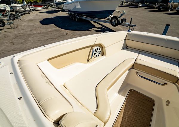 Sea-ray 240-SUNDECK-OUTBOARD image