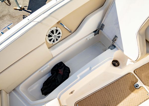 Sea-ray 240-SUNDECK-OUTBOARD image